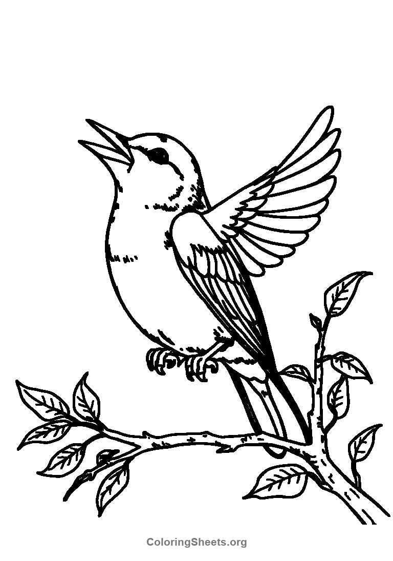 a bird singing coloring sheet